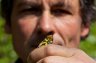 RandonÃ©e nature amphibiens - 