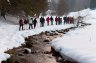 RandonnÃ©e hivernale en raquette - 