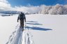 RandonnÃ©e hivernale en raquette - 