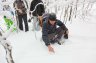 RandonnÃ©e hivernale en raquette - 