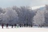 RandonnÃ©e hivernale en raquette - 