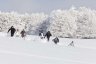 RandonnÃ©e hivernale en raquette - 